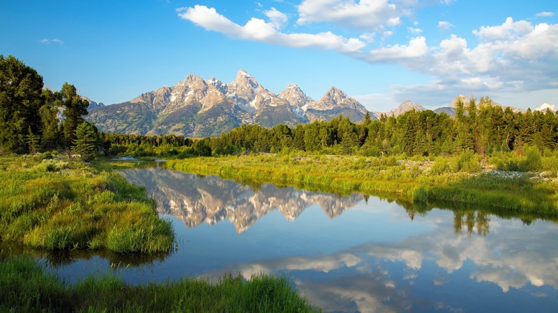 beautiful, scenery, nature, morning