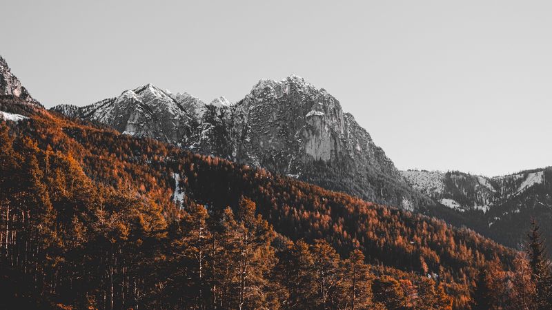 mountain, peak, trees, snow, landscape, 4k