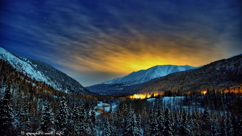 nature, winter, nights