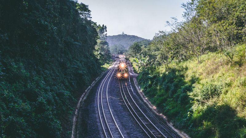 train, rails, railway, nature, 4k