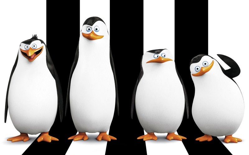 madagascar, movie, cartoons, penguins