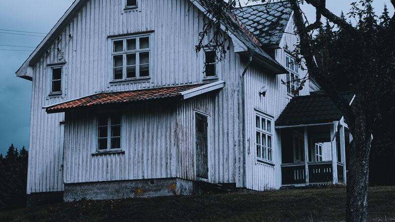 house, white, wooden, tree, yard, 4k
