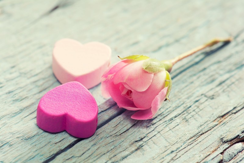 love, flowers, candy