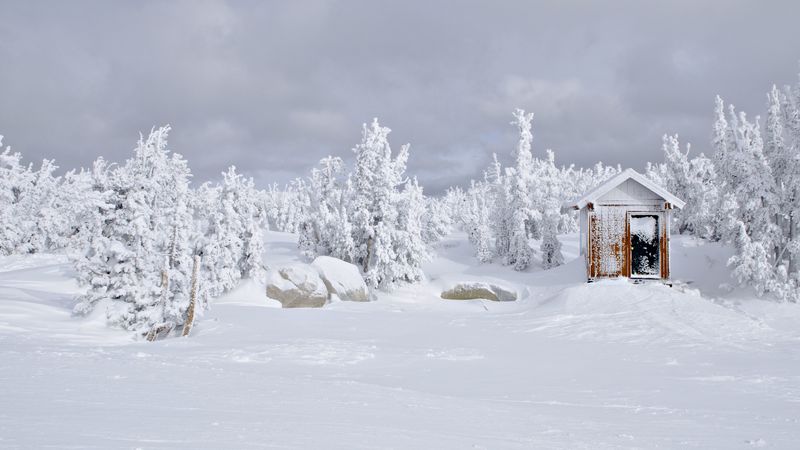 house, snow, trees, winter, landscape, 4k