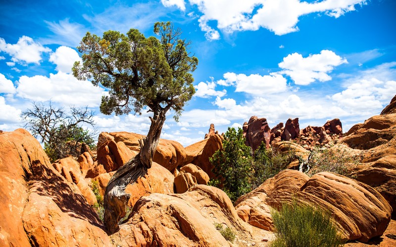 national park, nature