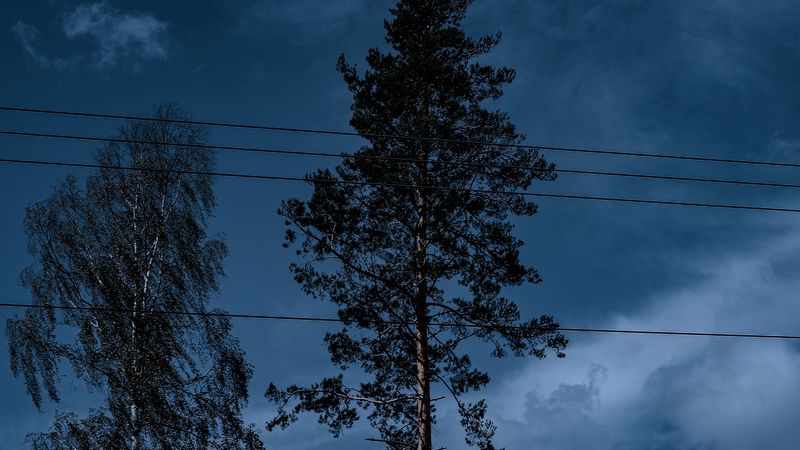 trees, wires, clouds, sky, 4k