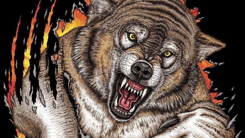 wolf, grin, predator, jump, art, 4k