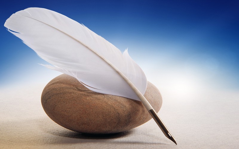 feather, pen, nature