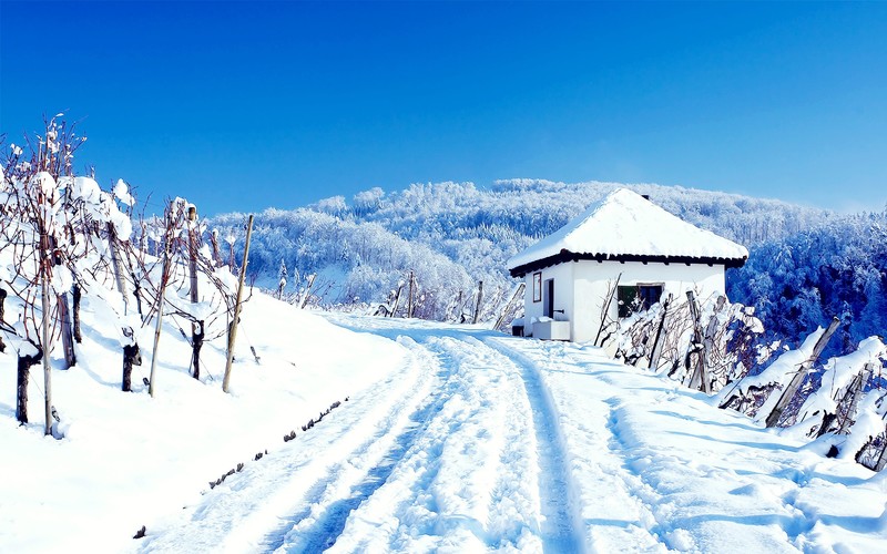 nature, snow