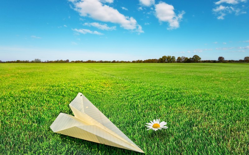 flower, rocket, photography