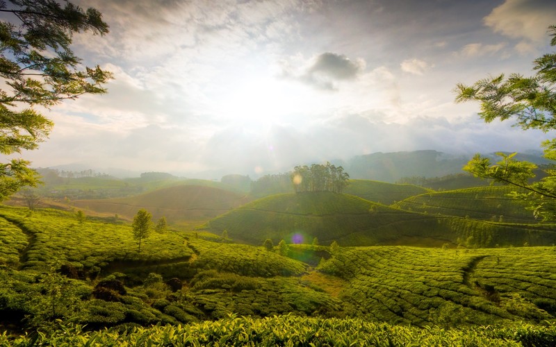 india, nature, world