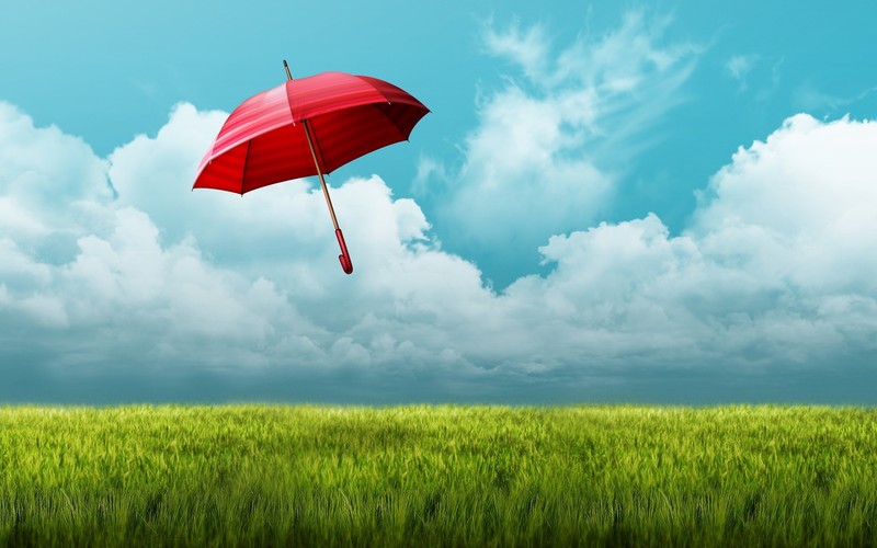 umbrella, fields, nature