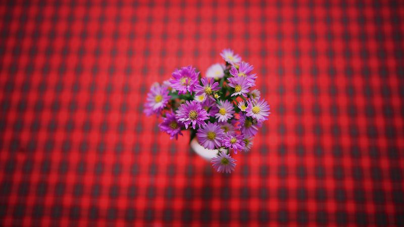 flowers, bouquet, purple, 4k
