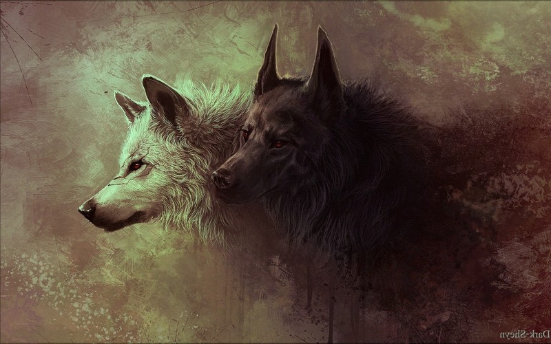 digital art, wolf, art, predator, animals