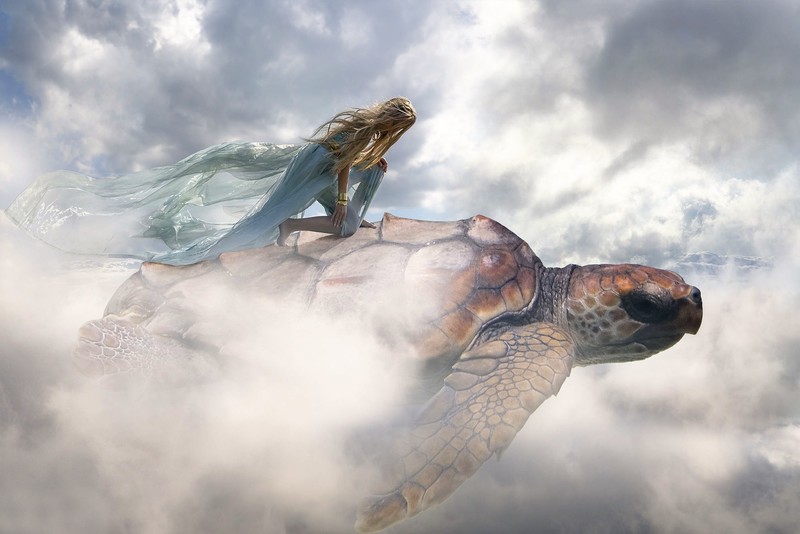 fantasy, artist, art, turtle