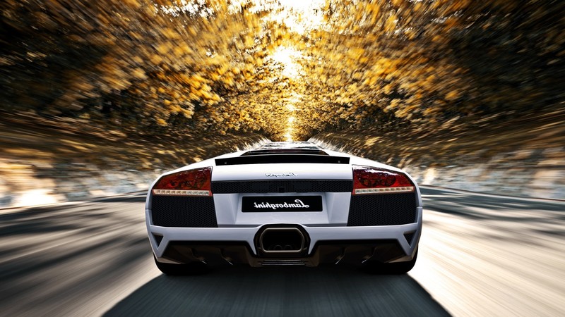 lamborghini, cars