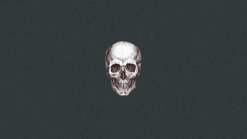 skull, artist, digital art