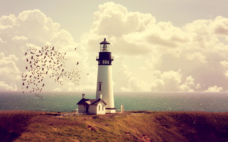 sea, lighthouse, rock, sunset, nature