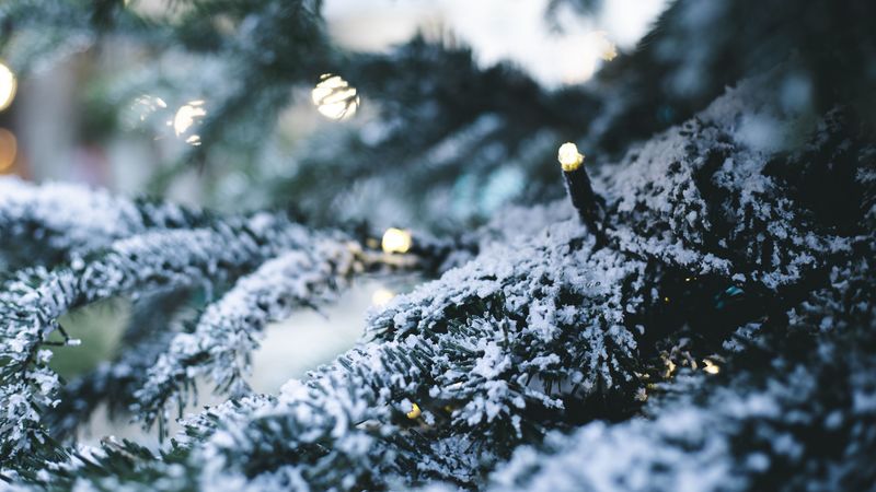tree, garland, snow, new year, winter, 4k