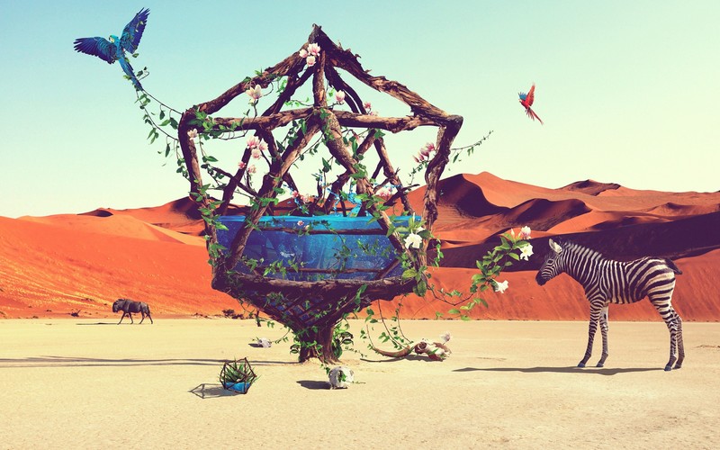 desert, art, artist, ziraffe, animals, digital art
