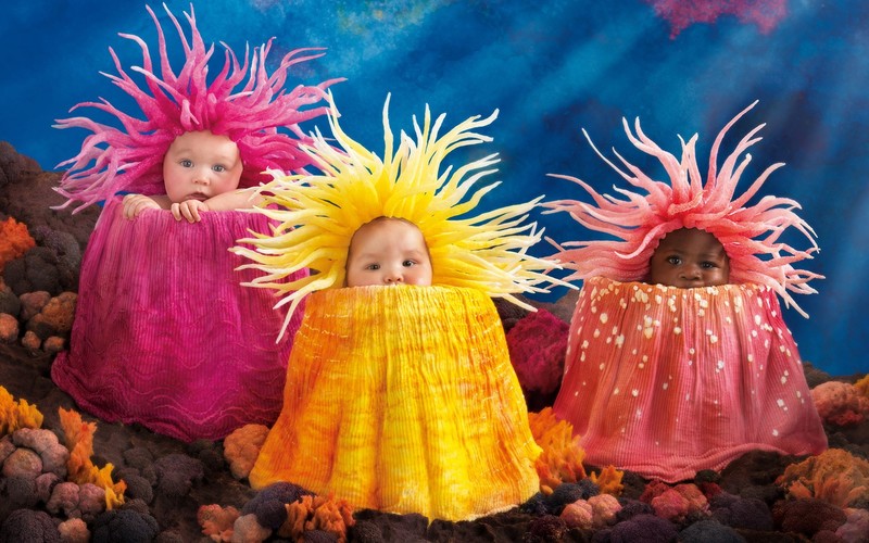 cute, baby, childrens