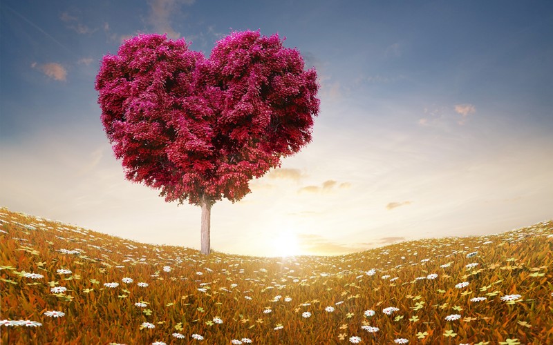 valentine day, celebrations, heart, love, tree