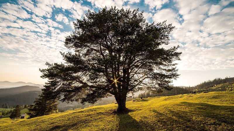 nature, sky, light
