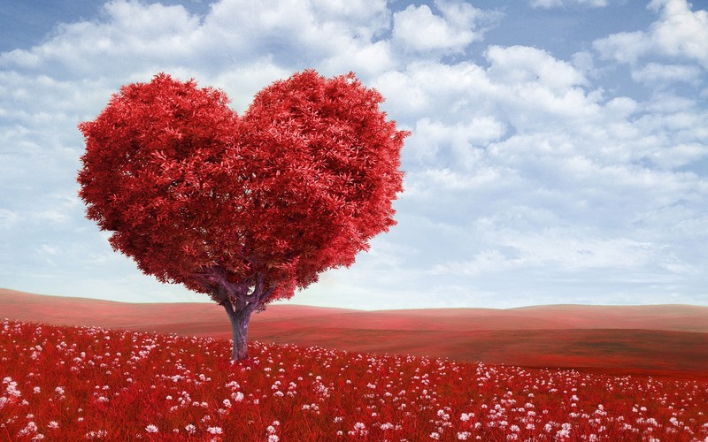 valentine day, celebrations, heart, love