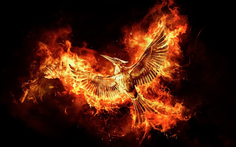 the hunger games, movies, fire, bird, art, digital art