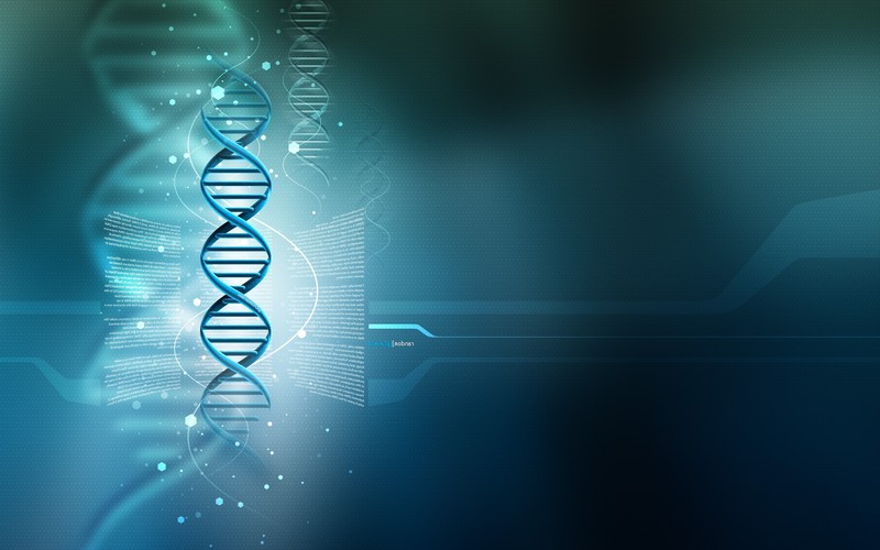dna, 3d