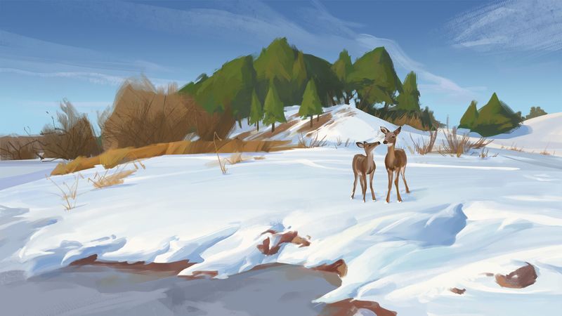 deer, shore, snow, winter, wildlife, art, 4k