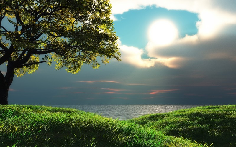 seascape, nature, sea