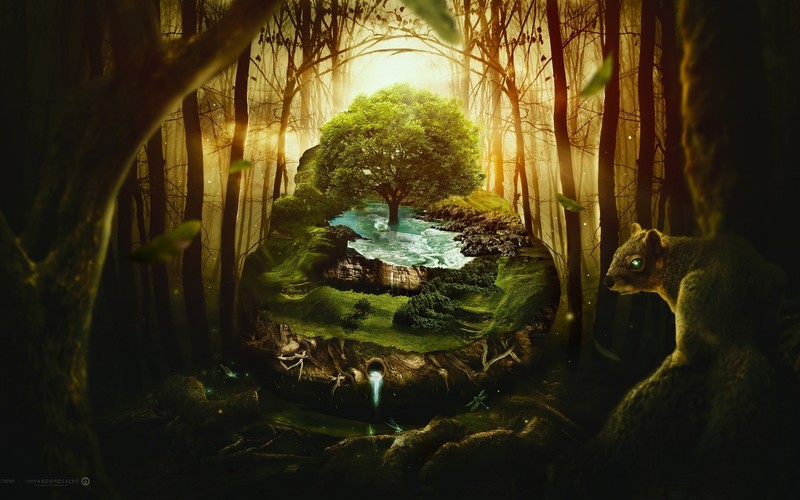 jungle, graphics