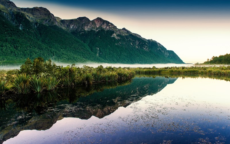 lake, sunlight, nature
