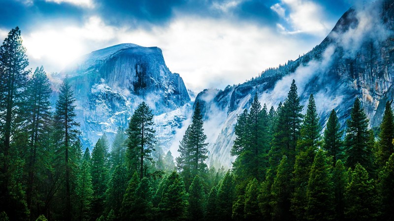 fog, mountains, nature