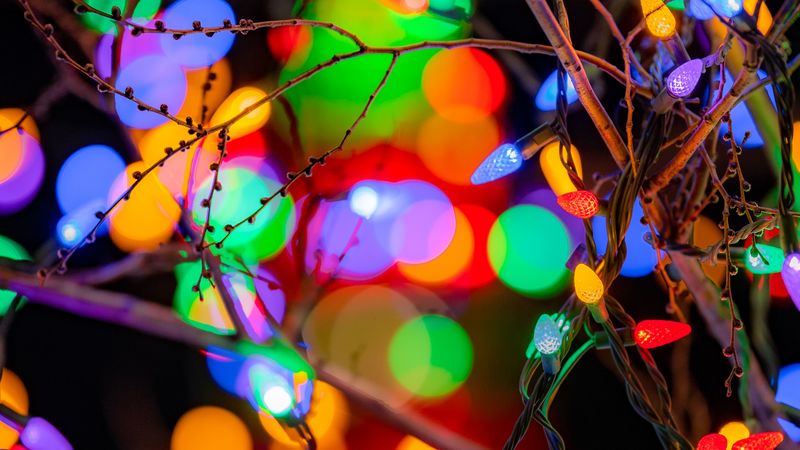 branches, garlands, colorful, lights, festive, 4k