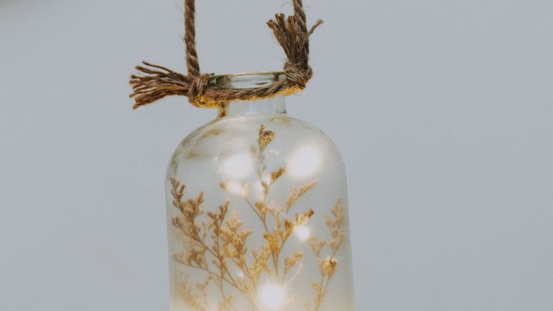 bottle, branch, garland, decoration, 4k