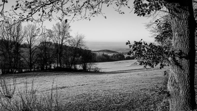 lawn, landscape, bw, hills, trees, 4k
