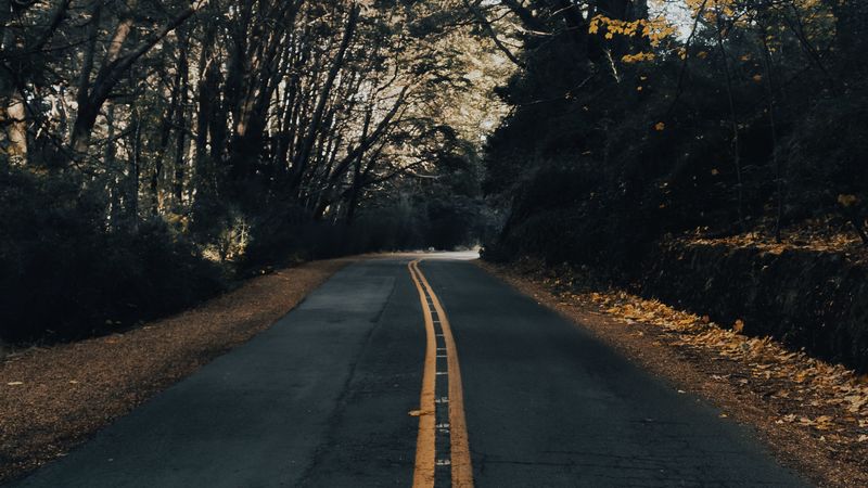 road, asphalt, trees, autumn, nature, 4k