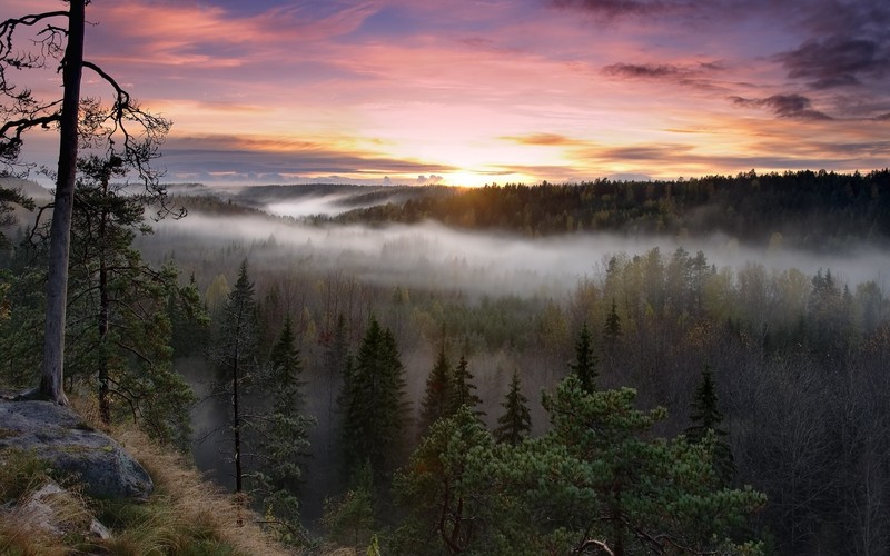nature, sunrise, national park