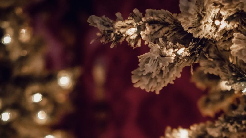 tree, branches, white, garland, new year, christmas, 4k