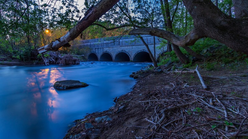 park, river, bridge, sunset, nature
