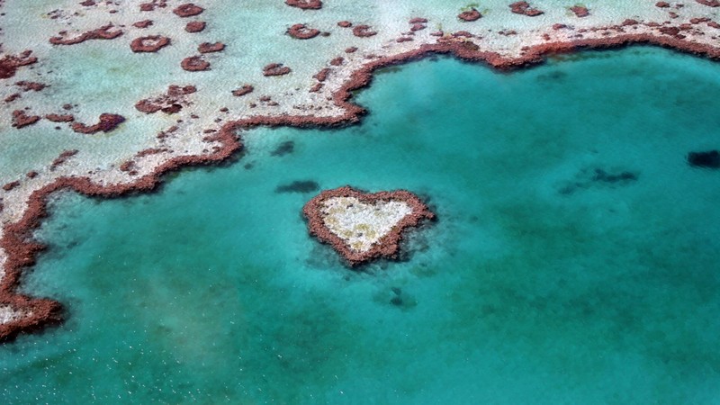 heart reef, world, nature, love, art, creative, artist