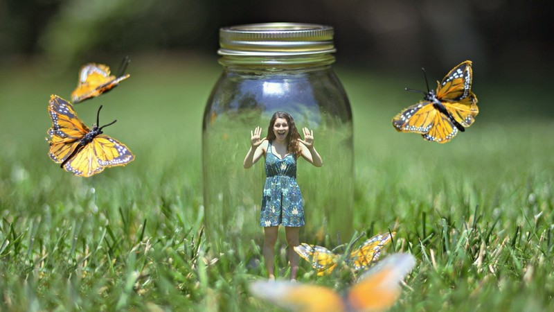 butterfly, artist, digital art, art, girl