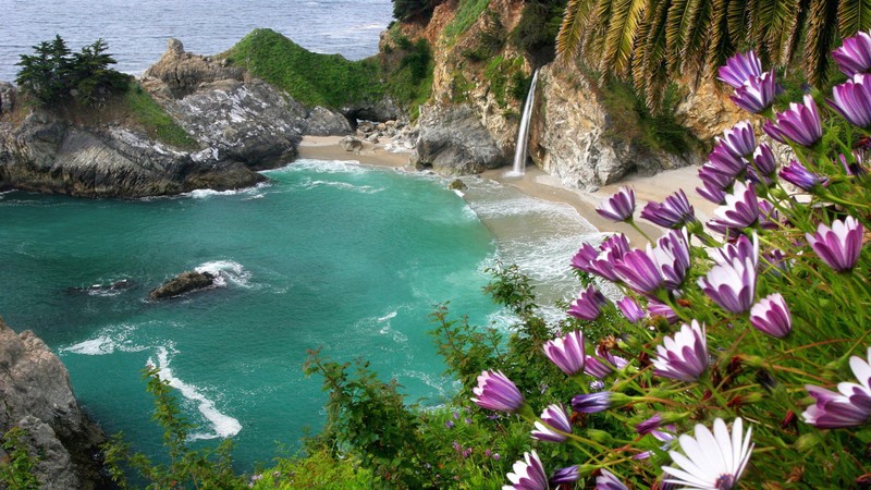 lake, flowers, mountains, nature