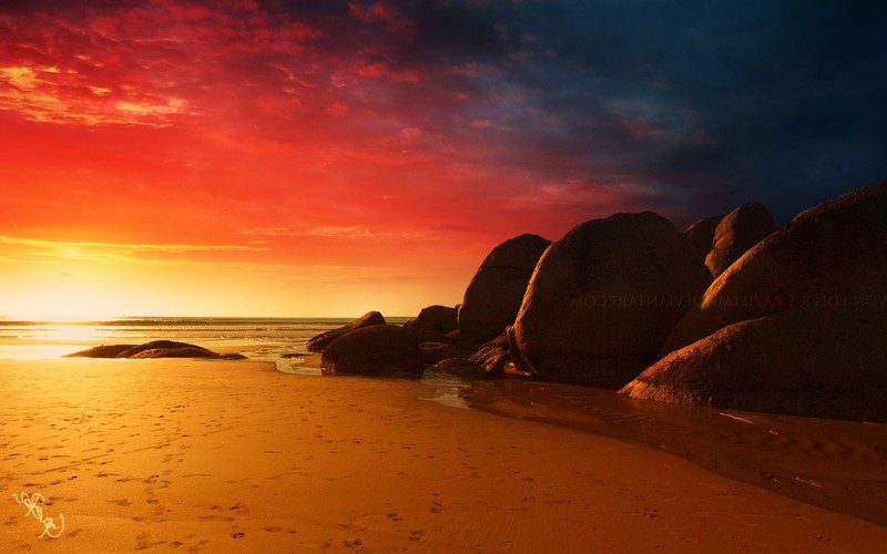fire, beach, nature, red