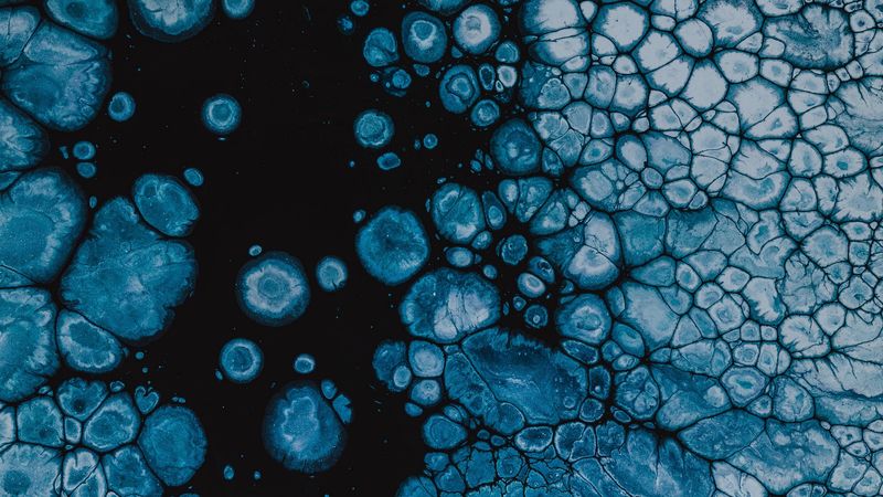 spots, texture, abstraction, blue, paint, 4k