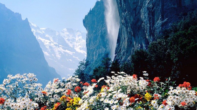 mountains, flowers, nature