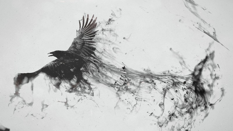 raven, bird, artist, art, digital art