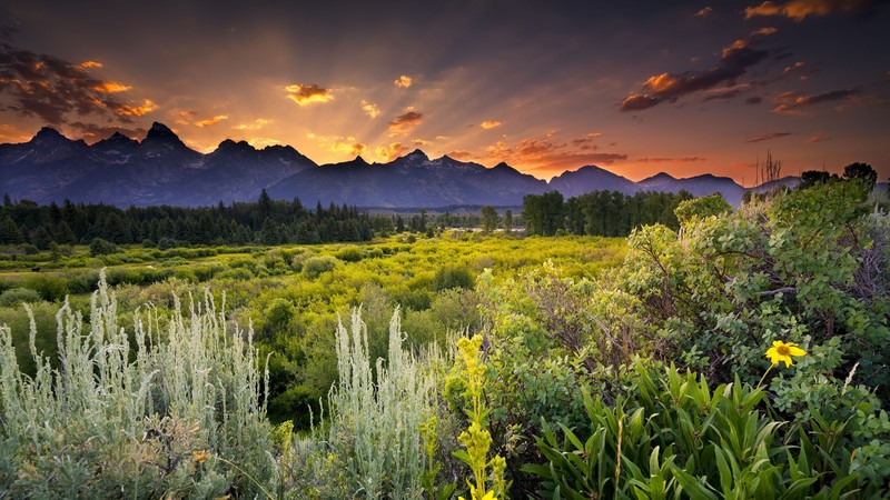 sunset, nature, scenery